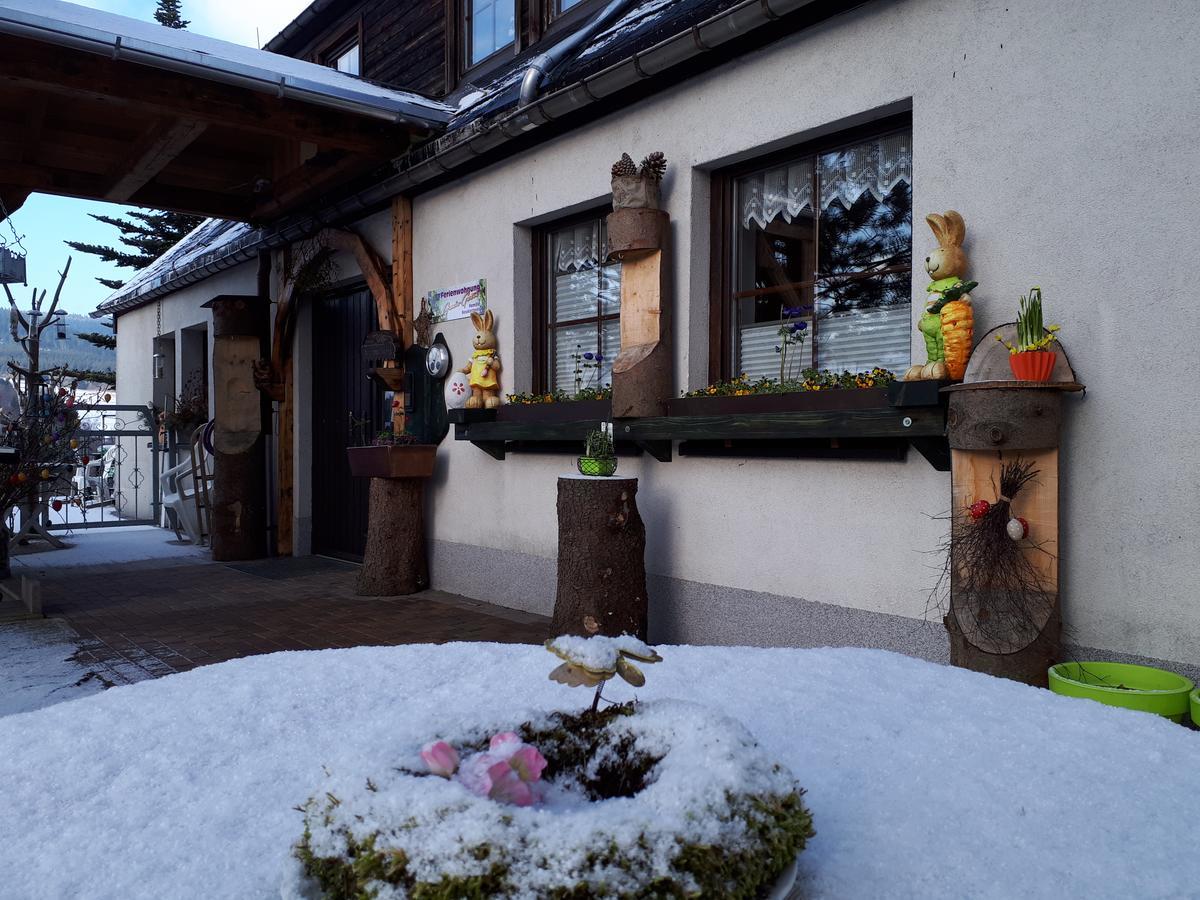 Ferienwohnung Aronia Garten Oberwiesenthal Esterno foto